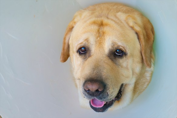 DSC_9639 - Version 2